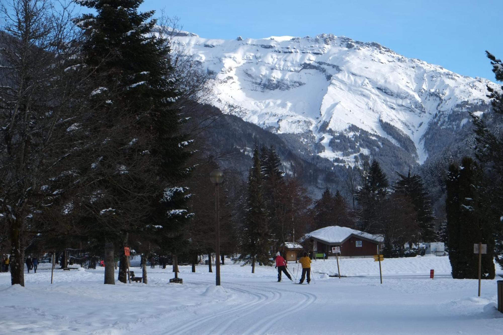 Particulier Loue 2 Appartements Communicants Dans Chalet A Samoens Jusqu A 16 Couchages ภายนอก รูปภาพ