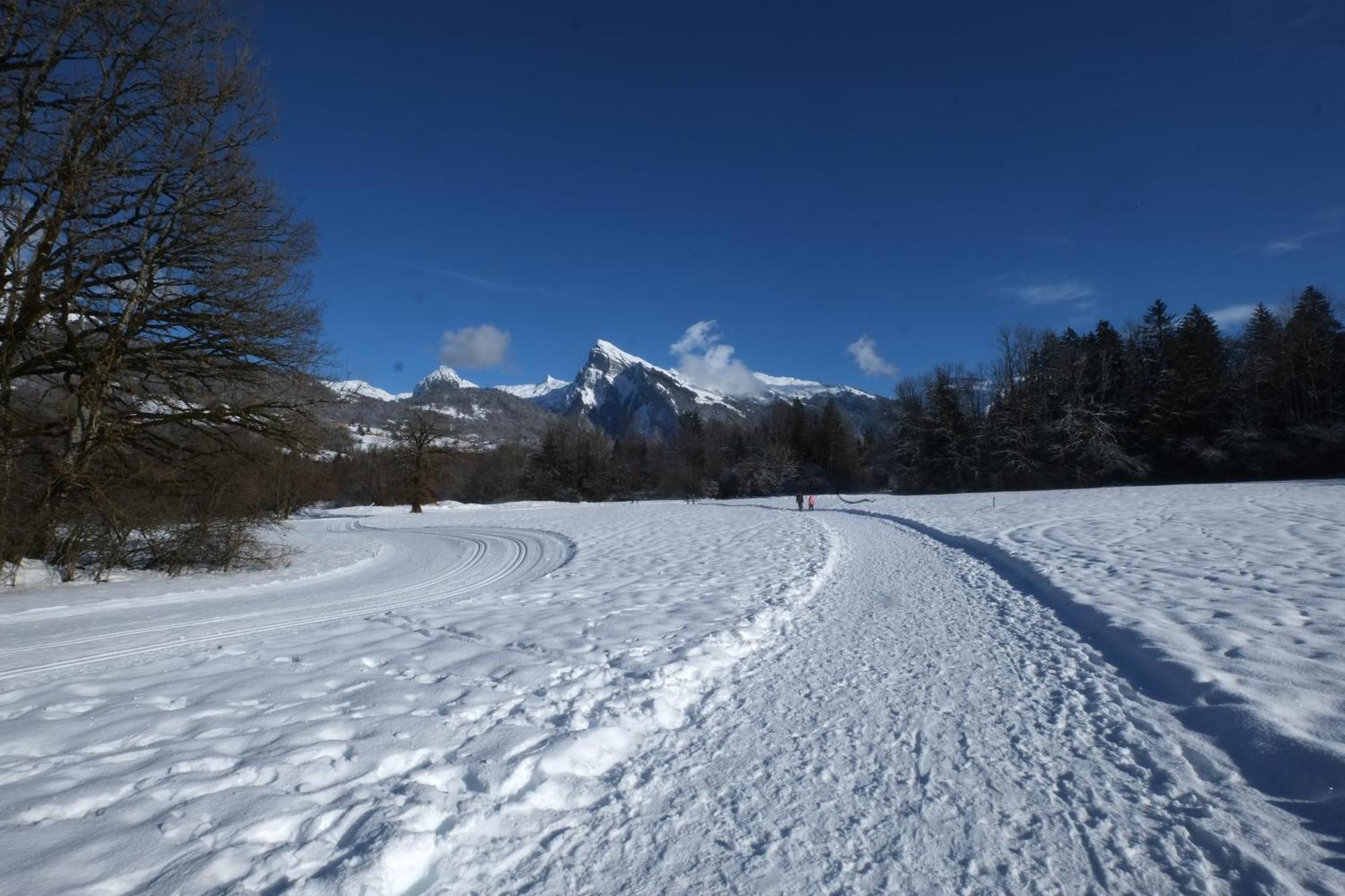 Particulier Loue 2 Appartements Communicants Dans Chalet A Samoens Jusqu A 16 Couchages ภายนอก รูปภาพ